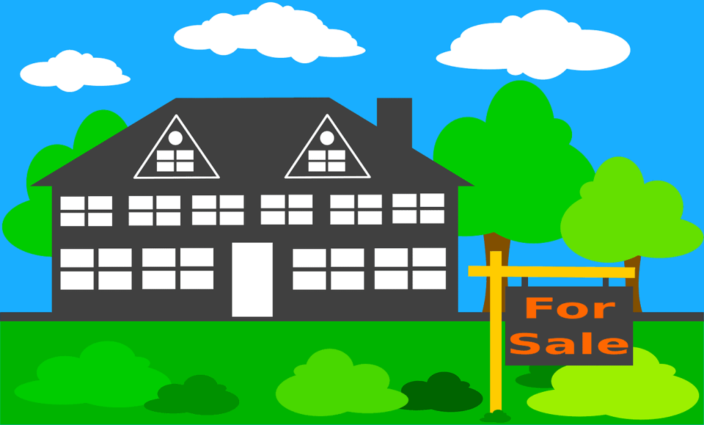 What are the Pros and Cons of Selling My Home Without any Realtor Guidance?